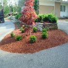 Fred's Landscaping & Irrigation
