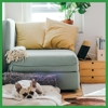 Inspection Plus Ltd gallery