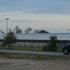 Houston Police Stables gallery