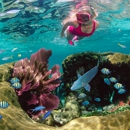 Sundiver Snorkel Tours - Diving Excursions & Charters