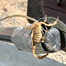 Firehouse Pest Control Services - Pest Control Equipment & Supplies