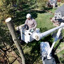 Nemeth Landscape - Tree Service