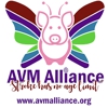AVM Alliance gallery