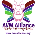 AVM Alliance