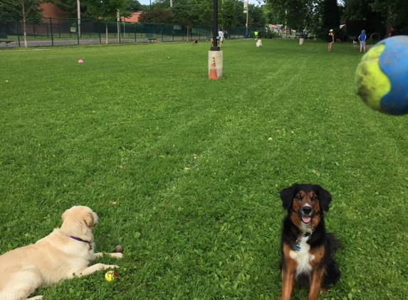 University City Dog Park - Saint Louis, MO