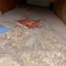 Totally Clean Services - Carpet & Rug Cleaners