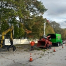 Top Notch Tree, Inc. - Tree Service