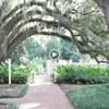 Sarah Gray Photography gallery