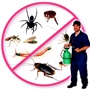 Wynton's Pest Control