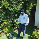 Dewey Pest & Termite Control - Pest Control Services