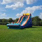 Gator Bounce Rentals