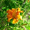 Kimball Ranch gallery