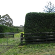 Gallery Image Number 5