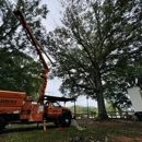 Gnarly By Nature Tree Service - Tree Service