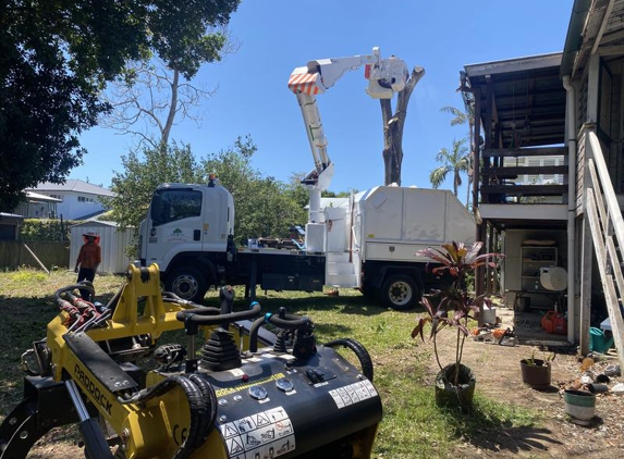 Arborist Tree Techs - Mango Hill, QLD