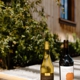 Clark Ferrea Winery