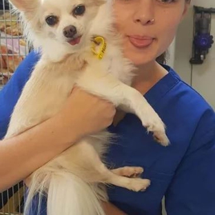 University Avenue Vet Hospital - Durack, NT