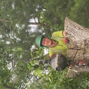 Treepluspro - Tree Service