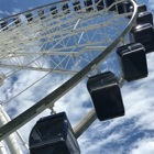 Navy Pier Centennial Wheel