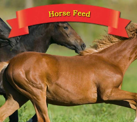 Drury's Stockfeeds - Jones Island, NSW. Horse Feed