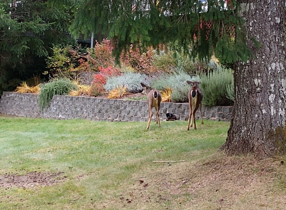 Alderbrook Golf & Yacht Club - Union, WA