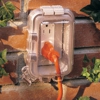 Foreman Electric gallery