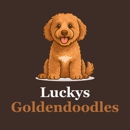 Lucky’s GoldenDoodles - Pet Breeders