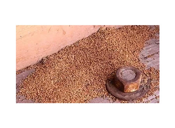 Albury Wodonga Pest Control - Albury, NSW