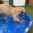 Marcie's Pet Spa