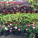 Houston Garden Center - Garden Centers