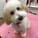 Woof Gang Bakery - Pet Grooming