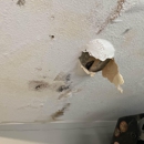 Servpro Chattanooga - Water Damage Restoration