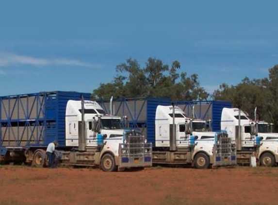 Whiteley's Livestock Transport Pty Ltd - Cudgewa, VIC