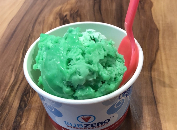 Sub Zero Nitrogen Ice Cream - Atlanta, GA