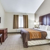 Comfort Inn & Suites Love Field-Dallas Market Center gallery