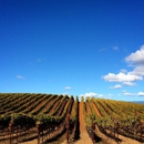 Williams-Selyem - Wineries