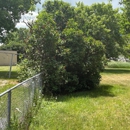 T&G Tree Service - Tree Service