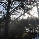 Limb Walker Tree Service - Landscape Contractors