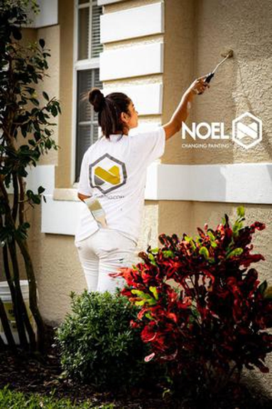 Noel Painting - Fort Myers, FL