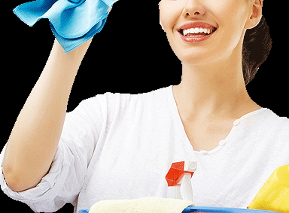 We Do Everything Cleaning Company - Jacksonville, FL