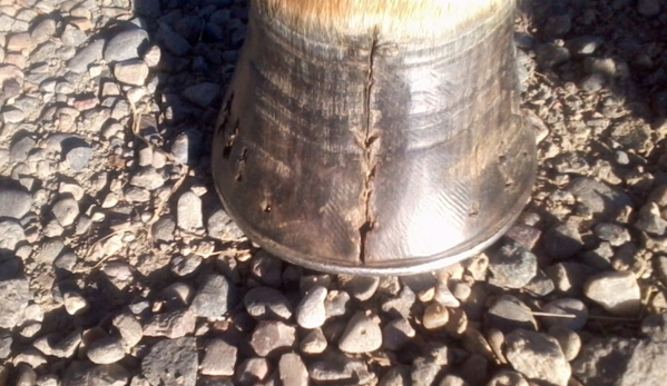 Rennie's Horseshoeing - Billings, MT. Before pic 1 of 2 of full length toe crack 