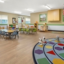 Primrose School of New Irving Park - Day Care Centers & Nurseries