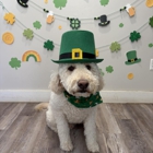 Marcie's Country Pet Spa