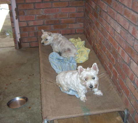 Camelot Pet Resort - Karnup, WA