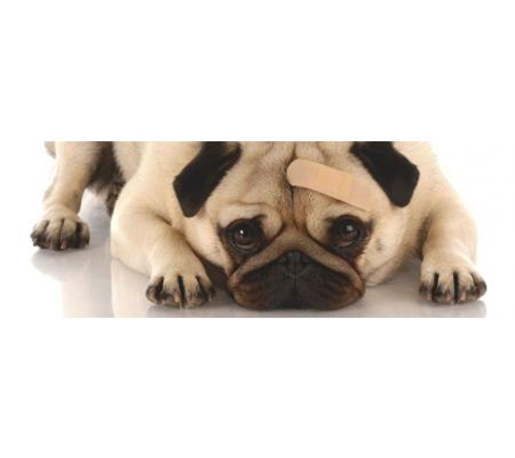 Oxenford Veterinary Surgery - Oxenford, QLD