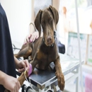 Raeford Animal Hospital - Veterinarian Emergency Services