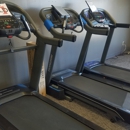 Peak Performance Fitness Gear - Exercise & Fitness Equipment