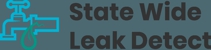 Statewide Leak Detect Logo