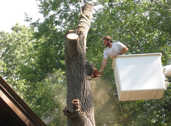 Lamb Tree Service - New Concord, KY