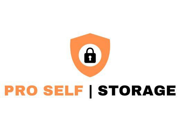 Pro Self Storage - Chicago, IL